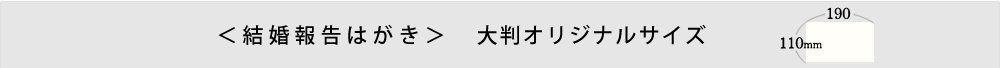 ＜結婚報告はがき＞大判オリジナルサイズ/110㎜×190㎜