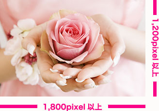 その他に使用する写真イメージ